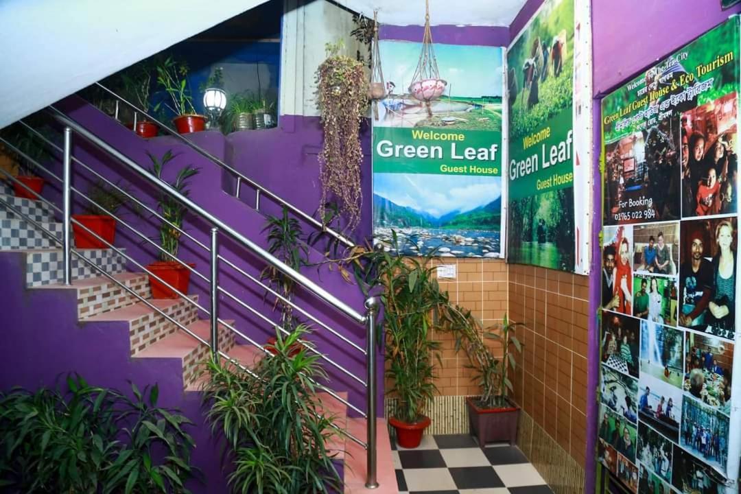 Green Leaf Guest House Sreemangal Zewnętrze zdjęcie